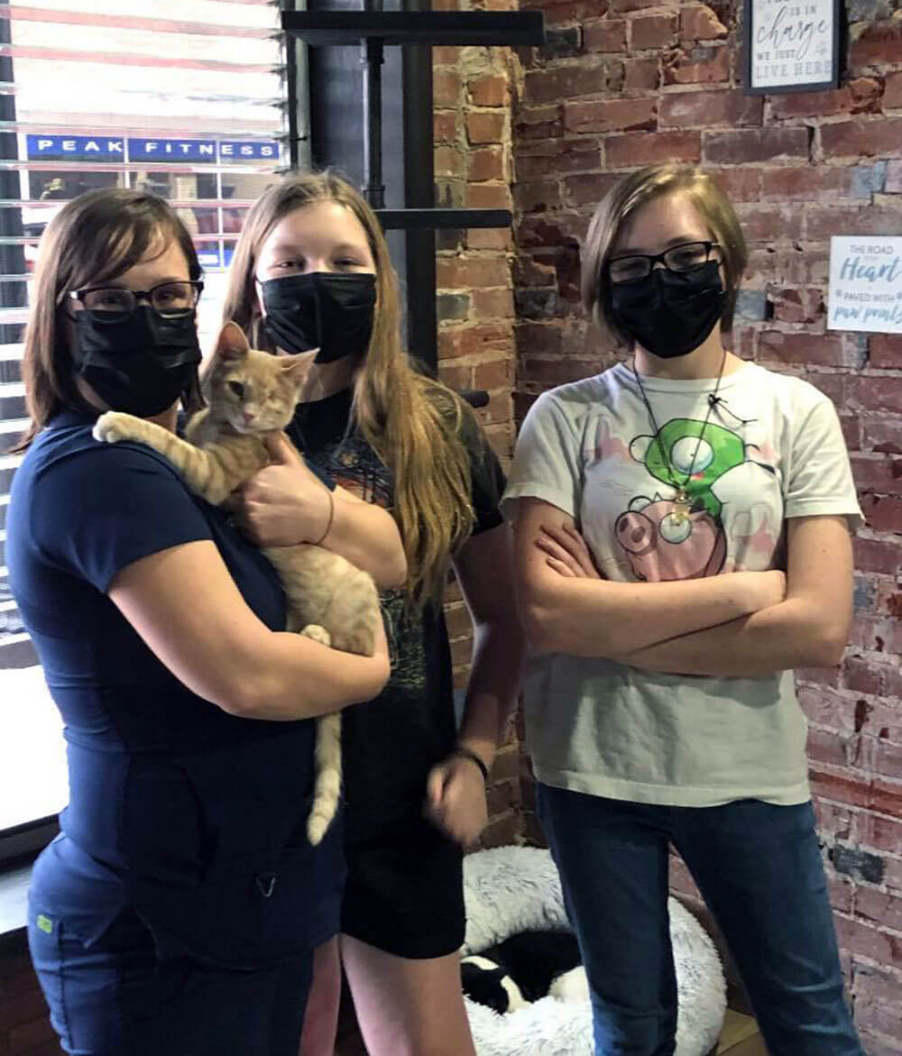 Something Pawsitive's 27th Cat Adoption